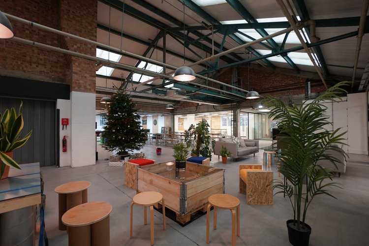 Shared lounge with timber seating, plants and a decorated Christmas tree.
