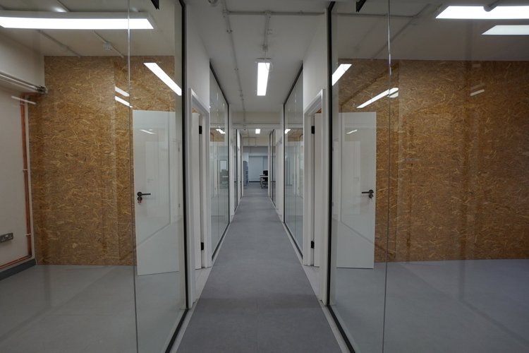 Carpeted corridor between glass-fronted offices.